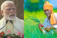 What is PM Kisan Samman Nidhi scheme See how you can check if you have received the 16th instalment iwh