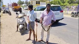 2 snakes captured at residence in rasipuram in namakkal district vel