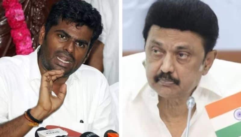 Tamil Nadu BJP State President Annamalai slams dmk government tvk