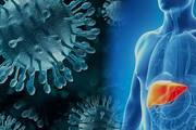 what is viral hepatitis symptoms and causes