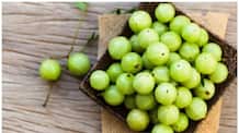 what are the benefits of amla for diabetes patients