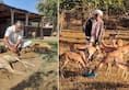 Piraram Dhayal: Inspiring journey of a puncture repair shop owner who has dedicated his life to the rescue of wild animals iwh