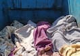 Rajasthan Alwar Crime News nursing worker wife and 3 children Dead body in house accused  murder XSMN