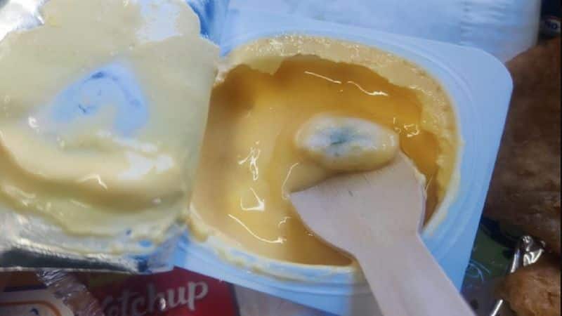 SHOCKING! Fungus-infested yoghurt served on Vande Bharat Express, Railways respond to viral postrtm