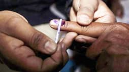 How indelible ink came to be used in Indian elections who makes it and cost Explained
