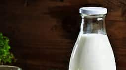 Health Tips Tamil Avoid Consume these foods with milk these are deadly food combinations Rya