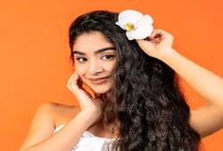  Hair care tips: 7 thing to follow for beautiful and healthy hair nti