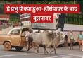 video viral of ambassador car moving with the help of bull zkamn