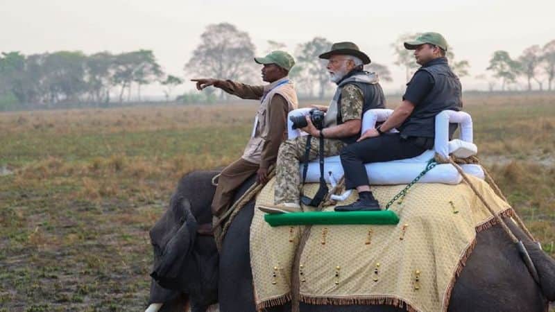 Prime Minister visits Kaziranga, shares pictures of elephant safarirtm