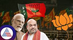 BJP Will clean sweeps some states in loksabha nbn