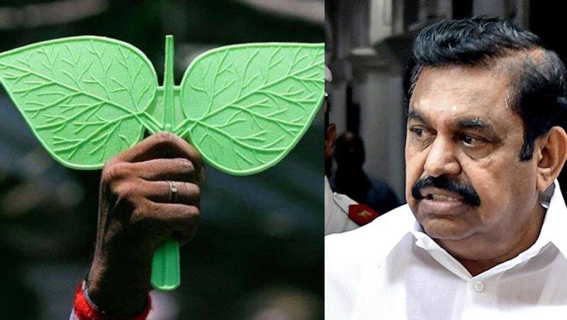 aiadmk symbol and flag case... Chennai high court today judgment tvk