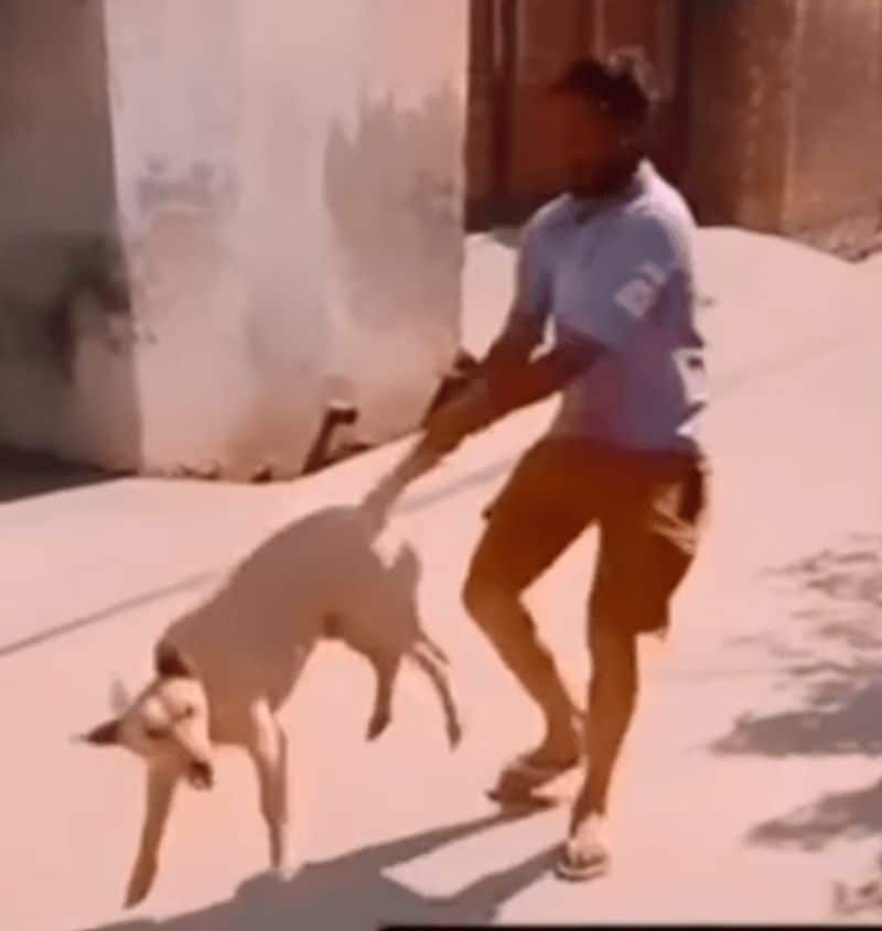 Viral Video shows man cruelly torturing stray dog, sparks outrage (WATCH)