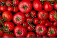 Tomato to Honey: 7 food items that should not be refrigerated ATG