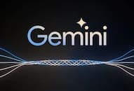 Google restricts Gemini AI-chatbot to answer elections related queriesrtm