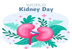 World Kidney Day 2024: What is the significance of this day? nti