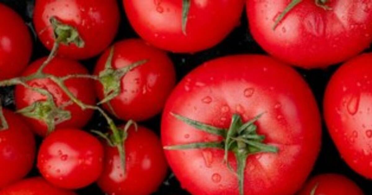 What happens if you eat tomatoes every day? rsl