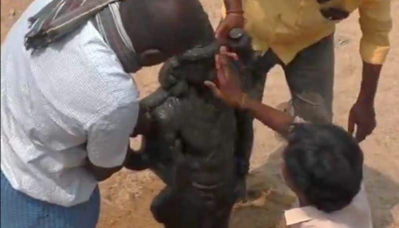 Rare idol of Lord Murugan in Brahmasastha form unearthed by boys playing near Tamil Nadu river (WATCH)