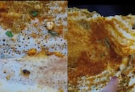 SHOCKING! Woman finds 8 cockroaches in dosa served at a Delhi Restaurantrtm
