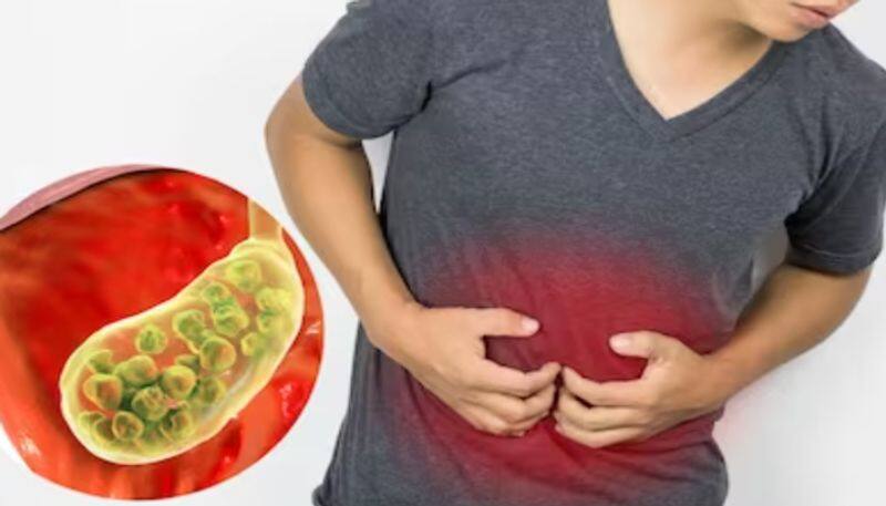 World Liver Day 2024: Here are 8 lifestyle modifications to maintain a healthy liver RBA