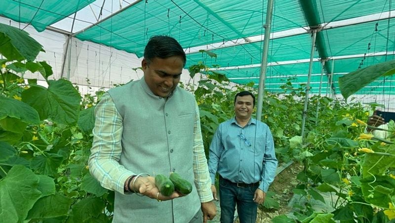 Cultivating Success Making Rs 30 lakh in a year with polyhouse farming methods Kamlesh Mishra iwh
