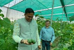 Success Story of deoria farmer kamlesh mishra polyhouse farming zrua