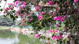 5 natural and beautiful places to visit in Bengaluru this spring nti