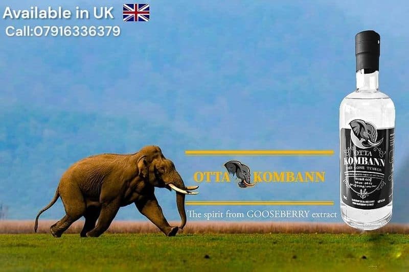 Malayalees arrack Otta komban The Lone Tusker To Be Launched In The british Market  