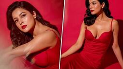Sexy photos: Shehnaaz Gill shows off cleavage in red HOT deep-neck gown; check pics RBA