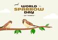 Why is World Sparrow Day celebrated on 20 March nti