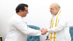 Raj Thackeray support BJP in Maharashtra nbn