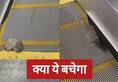 video viral of cat caught in escalator zkamn