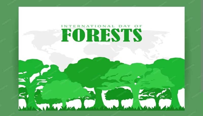 International day of Forest 2024: what is the significance of the day nti