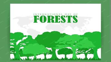 International day of Forest 2024: what is the significance of the day nti