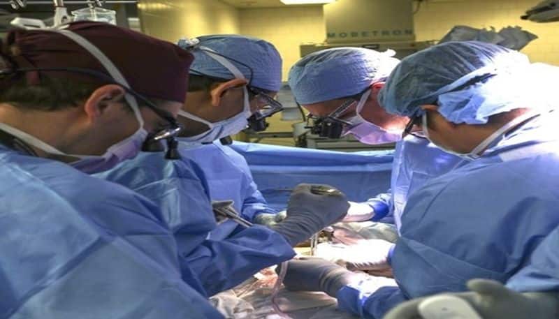 For the fist time ever, a living person receives pig-kidney transplant nti