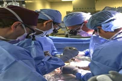 For the fist time ever, a living person receives pig-kidney transplant nti