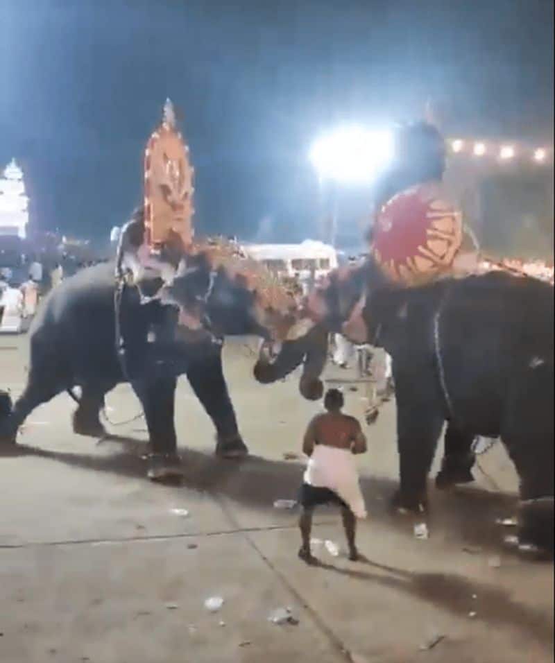 Viral Video: Kerala temple procession disrupted by 2 violent elephants (WATCH)