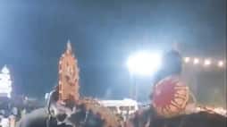 Viral Video: Kerala temple procession disrupted by 2 violent elephants (WATCH)