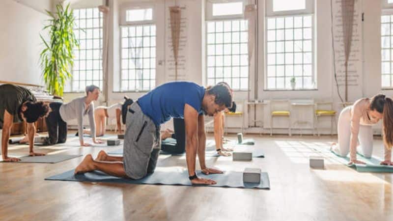 7 most useful yoga asanas for back pain nti