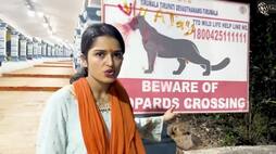 leopard attacks on bigg boss fame priyanka jain and her boy friend siva kumar ksr 