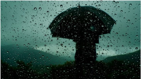 India likely to see 'above normal' monsoon this year, says IMD sgb