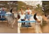 Actor Darshan bullock cart ride with friends nbn