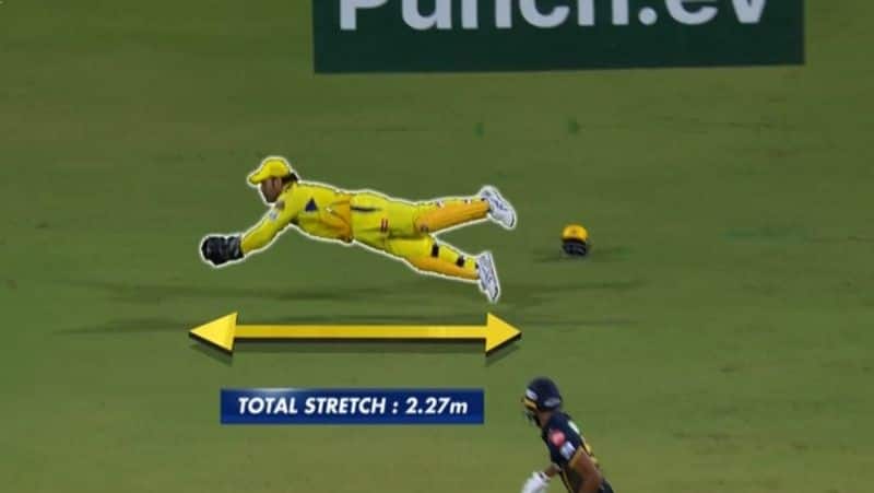 CSK vs GT: MS Dhoni jumped like a lion and took a dazzling catch.. ! Video Chennai Super Kings vs Gujarat Titans RMA