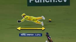 cricket IPL 2024: MS Dhoni's stunning catch ignites Chepauk during CSK vs GT encounter (WATCH) osf