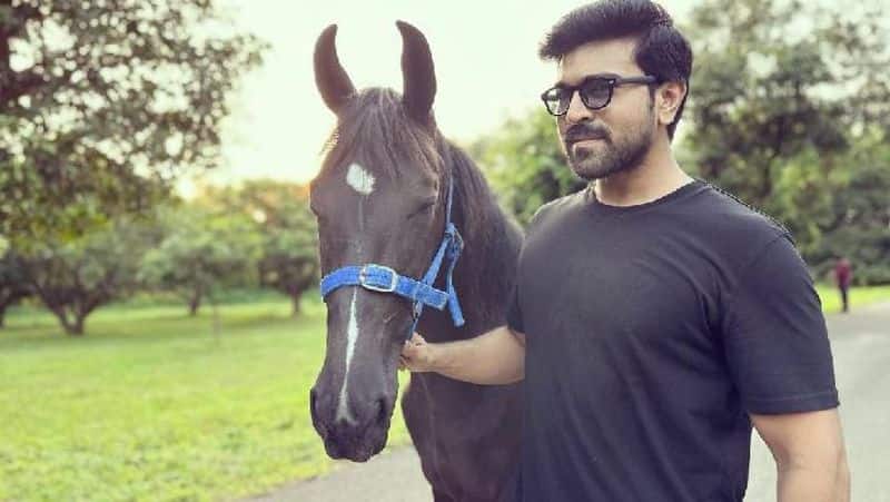Birthday special  Ram Charan Interesting facts about the life of South famous actor Ram Charan xbw