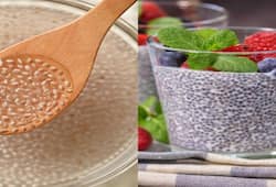 5 Different ways to use chia seed in daily routine nti