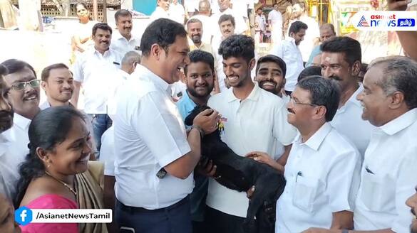 dmk it wing person gifted a goat to minister trb raja in coimbatore vel