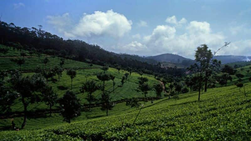 Explore South India: 5 beautiful hill stations can visit this summer vacation nti