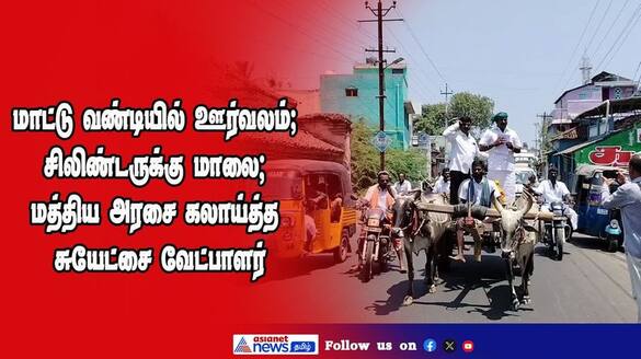 independent candidate file the nomination raid with cow chariot in nagapattinam vel