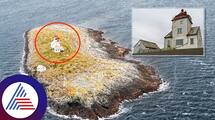 Couples bought loneliest home at  Norwegian Island pav