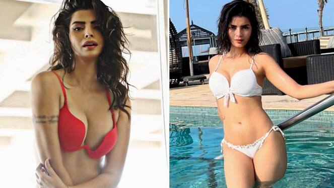 Sonali Raut HOT SEXY photos: 6 times the actress showed off her bikini body RKK